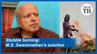 Stubble burning M S  Swaminathan's solution