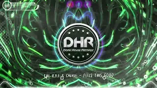 The R.Y.E & Cainie - Feels This Good - DHR