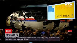 Новини України: справа МН17 – до Нідерландів прилетіла українська делегація