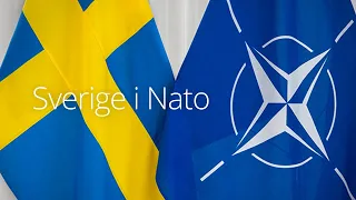 Address in English to the ambassadors of the NATO countries in Sweden