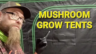 Can I go cheap? #mushroom #growing #tents