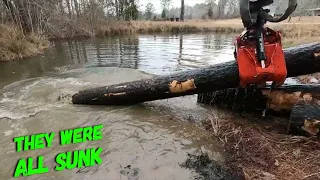 Underwater logs, recovering them to sell to the mill 💪🏻