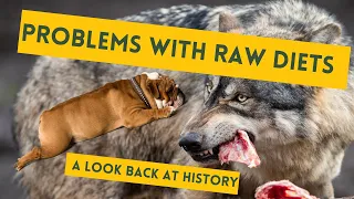 Is raw meat for dogs a fad? - Health reasons to NOT to feed raw
