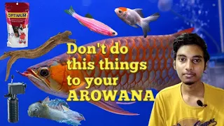 10 Things you should not do when you have an arowana fish (தமிழ்) |Rubesh's Aquarium|