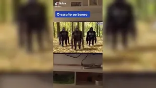 melhores tik tok do lkzinhu parte 2