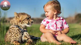 Cheetahs Best Friends With Children