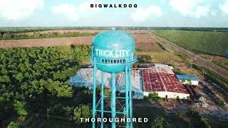 BigWalkDog - Thoroughbred [Official Visualizer]