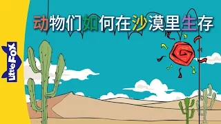 How Animals Survive in the Desert (动物们如何在沙漠里生存) | Single Story | Animals | Chinese | By Little Fox