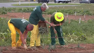 Prison inmates send tons of produce to food banks in Maryland