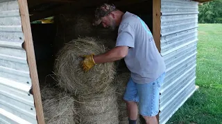 Life on a Small Family Farm - Mini Round Bale Hay!
