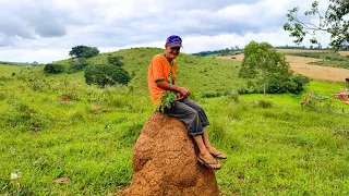 ANDANDO PELO PASTO COM O SR ZEZÉ