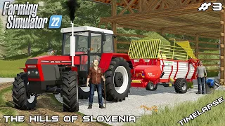 Making HAY and storing it in HAYLOFT | The Hills of Slovenia | Farming Simulator 22 | Episode 3