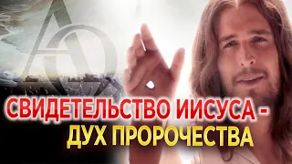 #338 Свидетельство Иисуса - дух пророчества - Алексей Осокин - Библия 365 (2 сезон)