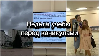 Неделя учебы перед каникулами// Готовлюсь к пробнику по русскому