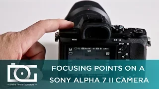 SONY a7 II TUTORIAL | Can I customize the focusing points on my Sony Alpha 7 II Camera?