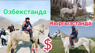 Ташкент