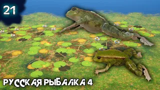 Русская рыбалка 4 - 2 супер точки на лягушку. Путь новичка [#21]