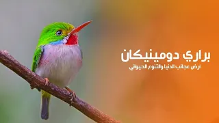 براري دومينيكان أرض عجائب الدنيا والتنوع الحيواني هذا من إبداع الخالق سبحانه وتعالى | كويست عربية