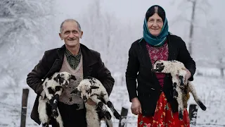 Rural life in snowy days of fall, sheep-breeding and cooking chicken Lavangi