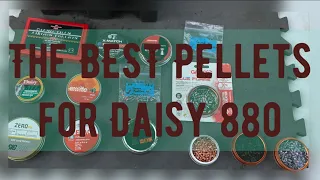 The BEST Pellets, Daisy 880