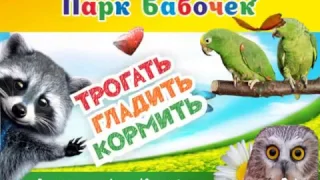 Парк Бабочек  roll Park Babochek