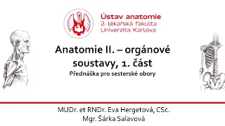 Anatomie II  1  část    Hergetová 19  10  2020