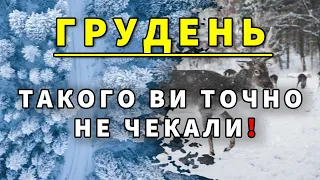 ГРУДЕНЬ ШОКУЄ УКРАЇНЦІВ?! Прогноз погоди в Україні