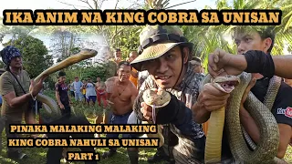 BAGUNG HULI PINAKA MALAKING KING COBRA SA UNISAN #cobraprince #tolcobra #cobraking