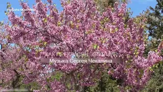Нежный вальс - Музыка Сергея Чекалина. Весна - прекрасное время года волшебства пробуждения природы