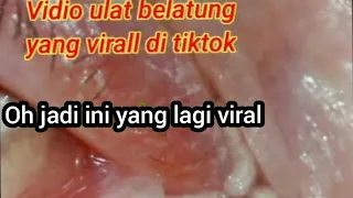 VIDEO VIRAL BElATUNG DALAM VAGINA 🤮 VIRAL DI TIKTOK