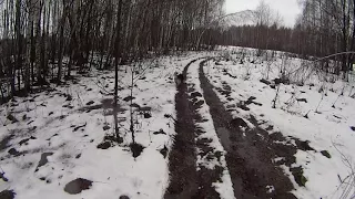 Фэтбайк. Покатушки по заснеженному лесу.