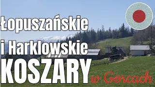 Koszary Łopuszańskie i Harklowskie. Poza utartymi szlakami w Gorcach.