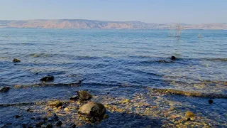 Sea of Galilee: The Gentle Sounds of Splashing Waves for Calming and Relaxation!