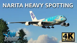 Narita Heavy Spotting 4K | 60 KNOT WINDS! | A380, 777, 747, 787 | Microsoft Flight Simulator 2020