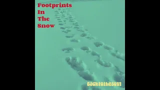 Backtothesoul - Footprints in The Snow