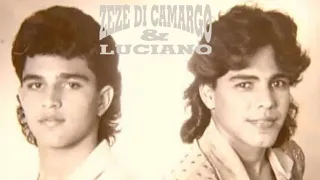 ZEZÉ DI CAMARGO E LUCIANO😍OS MAIORES SUCESSOS MUSICAS SERTANEJAS pt02 LUSOFONIA