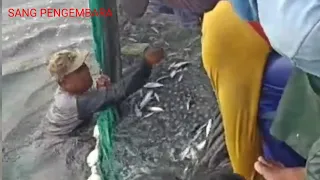 KAPAL NELAYAN INDONESIA DAPAT IKAN RAKSASA