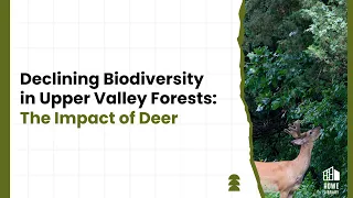 Declining Biodiversity in Vermont and New Hampshire Forests: The Impact of Deer