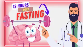 What Happens 12 Hours After Fasting? - Intermittent Fasting - A Doctor Explains