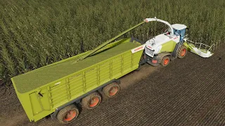 Geiselsberg #11 | Farming Simulator 19 Timelapse | Silage, Harvest, Animal Care |FS19 Timelapse