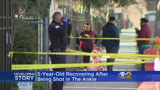 5-Year-Old Girl Shot In Albany Park