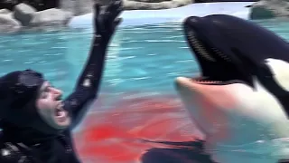 Orca Trainer Gets EATEN ALIVE During Show!