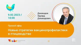 Новые стратегии вакцинопрофилактики в птицеводстве