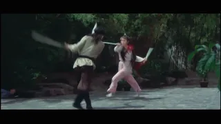 Jet Lee Chinese Kung Fu 李连杰 少林功少年少女  05