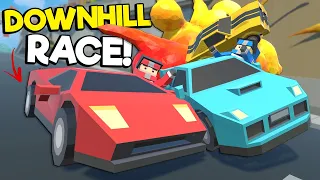 Downhill Race on a Mountain Ends in MASSIVE CRASHES! (Tiny Town VR)