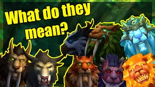 THE Definitive Cat Form Meta (ALL catforms) - [World of Warcraft] -