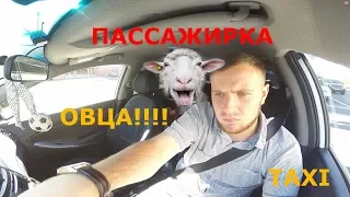 #19 Охреневшая пассажирка в такси, высадил!!! Яндекс Такси!!!