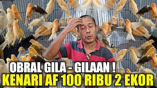 KAKEK INI BINGUNG ! SISA 250 EKOR KENARI BELUM LAKU PADAHAL MURAH CUMA 100 RIBU DAPET 2 EKOR SERI AF