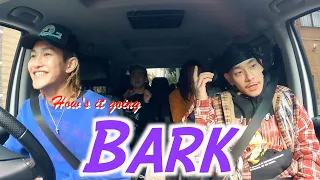 【How's it going!?】Vol.9 BAD HOP Bark!!!!!!!