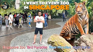 Singapore Zoo Tour + River Wonders, Bird Paradise & Night Safari | 2024